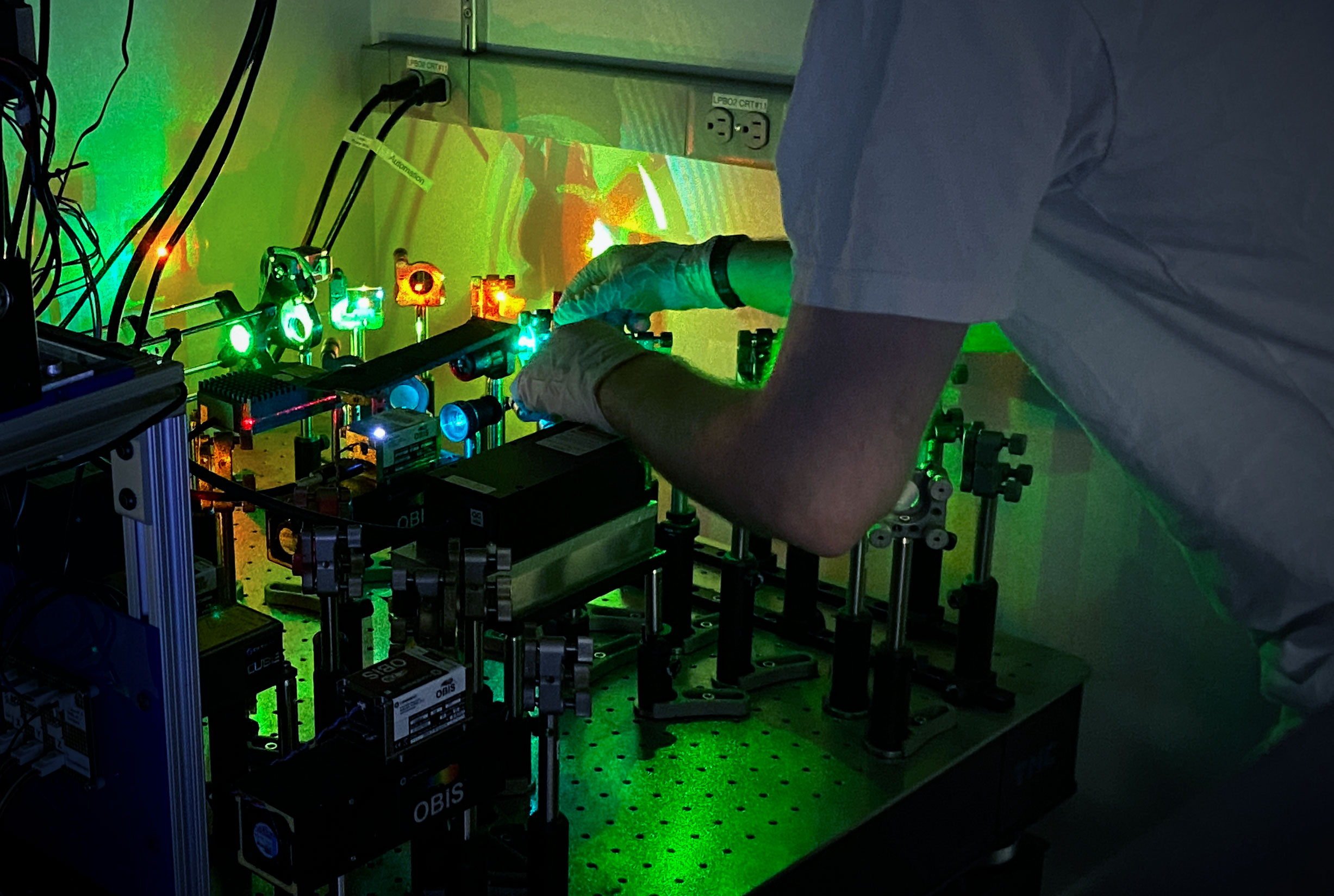 Imaging in the Cai Lab